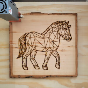 395497_wood-laser-1.jpg