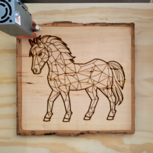 395498_wood-laser-1.jpg