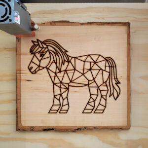 395499_wood-laser-1.jpg