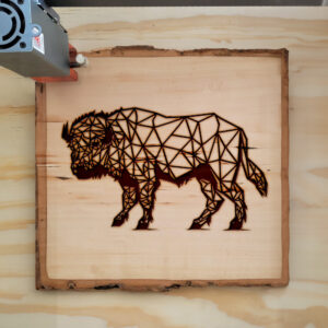 395541_wood-laser-1.jpg