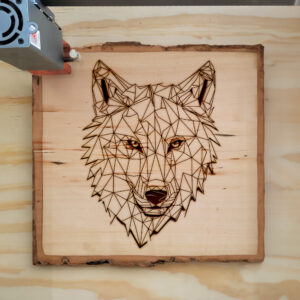 395545_wood-laser-1.jpg