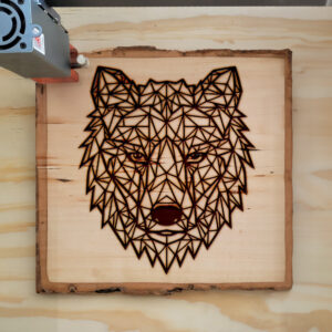 395547_wood-laser-1.jpg