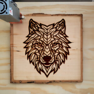 395551_wood-laser-1.jpg