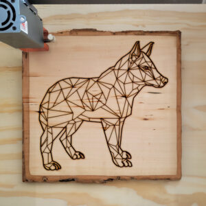 395554_wood-laser-1.jpg