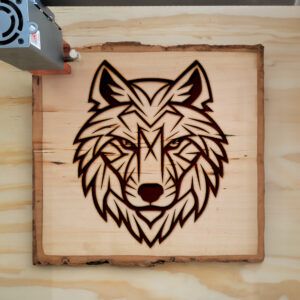 395556_wood-laser-1.jpg