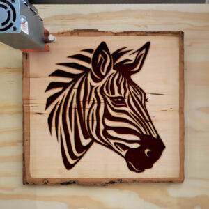 395566_wood-laser-1.jpg