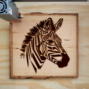 395568_wood-laser-1.jpg