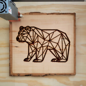 395574_wood-laser-1.jpg