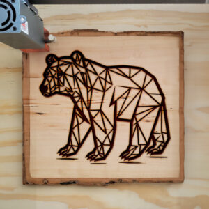 395576_wood-laser-1.jpg