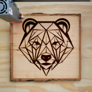 395586_wood-laser-1.jpg