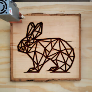 395605_wood-laser-1.jpg