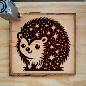 396983_wood-laser-1.jpg
