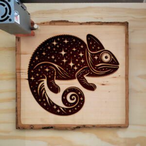 397012_wood-laser-1.jpg