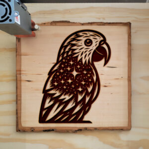 397152_wood-laser-1.jpg