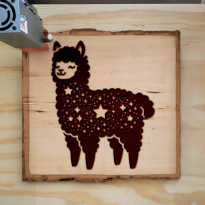 397175_wood-laser-1.jpg
