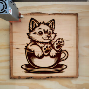 399601_wood-laser-1.jpg