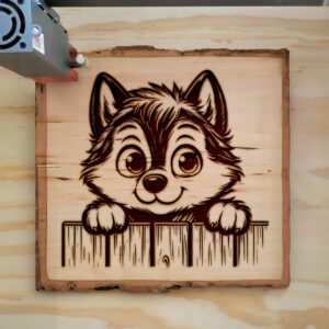 402711_wood-laser-1.jpg