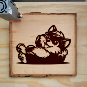 402801_wood-laser-1.jpg