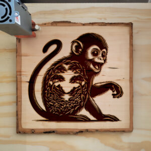 403983_wood-laser-1.jpg