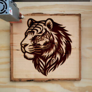 404054_wood-laser-1.jpg
