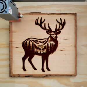 404084_wood-laser-1.jpg