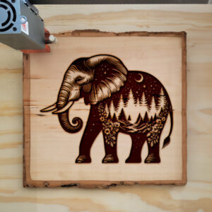 404140_wood-laser-1.jpg