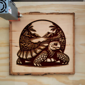 404177_wood-laser-1.jpg