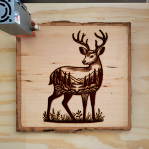 404207_wood-laser-1.jpg