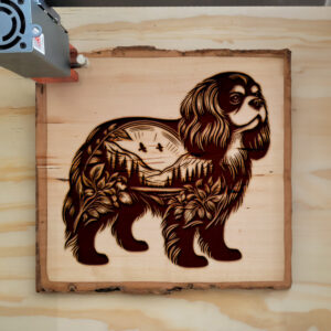 404221_wood-laser-1.jpg