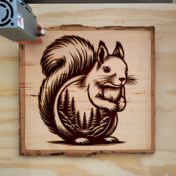 404237_wood-laser-1.jpg