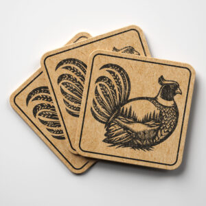 404243_coaster-1.jpg