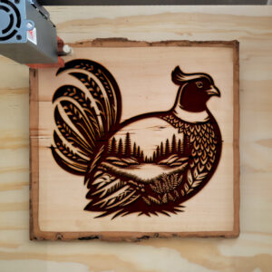 404243_wood-laser-1.jpg