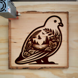 404256_wood-laser-1.jpg