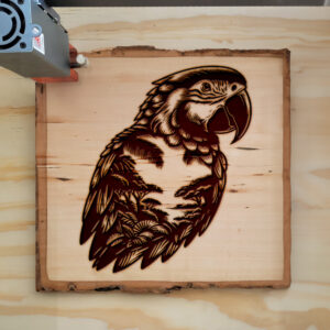 404303_wood-laser-1.jpg