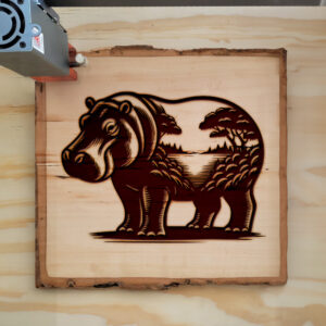 404307_wood-laser-1.jpg