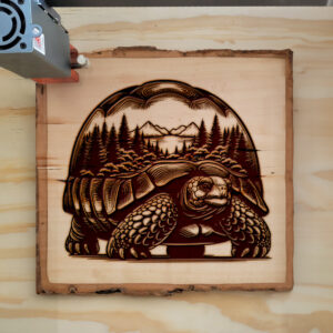 404309_wood-laser-1.jpg