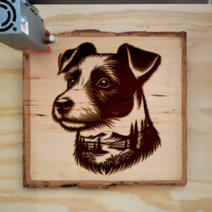 404414_wood-laser-1.jpg