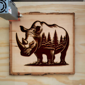 404429_wood-laser-1.jpg