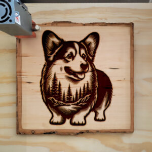 404445_wood-laser-1.jpg