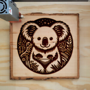 404455_wood-laser-1.jpg