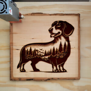 404467_wood-laser-1.jpg