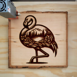 404469_wood-laser-1.jpg