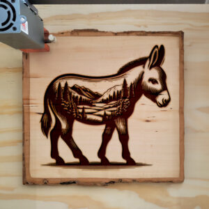 404477_wood-laser-1.jpg