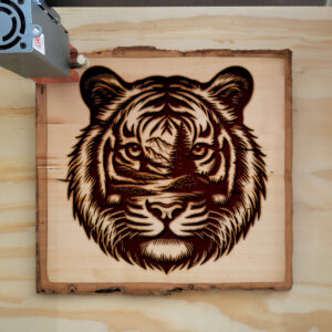 404480_wood-laser-1.jpg