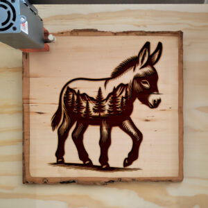 404492_wood-laser-1.jpg