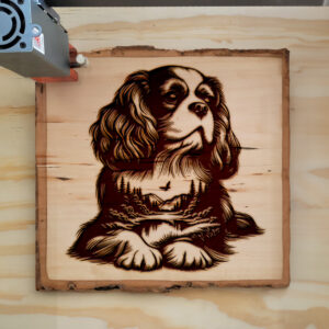 404498_wood-laser-1.jpg
