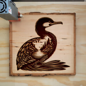 404506_wood-laser-1.jpg