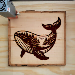 404537_wood-laser-1.jpg