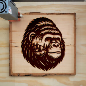 404554_wood-laser-1.jpg