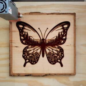 404578_wood-laser-1.jpg